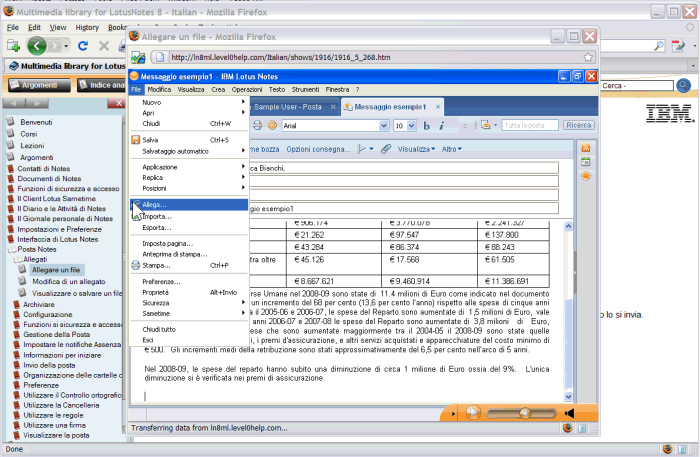 Image:IBM Multimedia Library per Lotus Software in promo