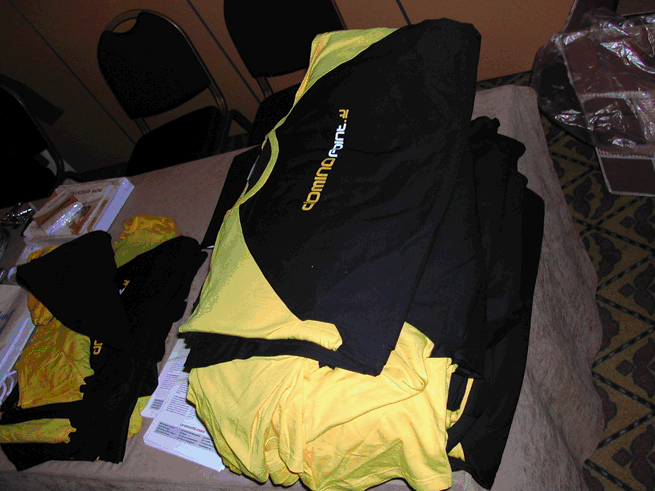 Image:Dominpoint Day: meno 1!